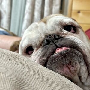 Meet your Posher, Beatriz